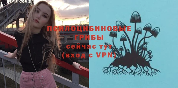 крисы Богородицк