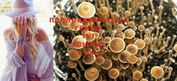 дурь Армянск