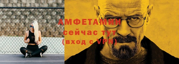 крисы Богородицк
