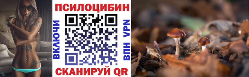 Псилоцибиновые грибы MAGIC MUSHROOMS Красный Кут